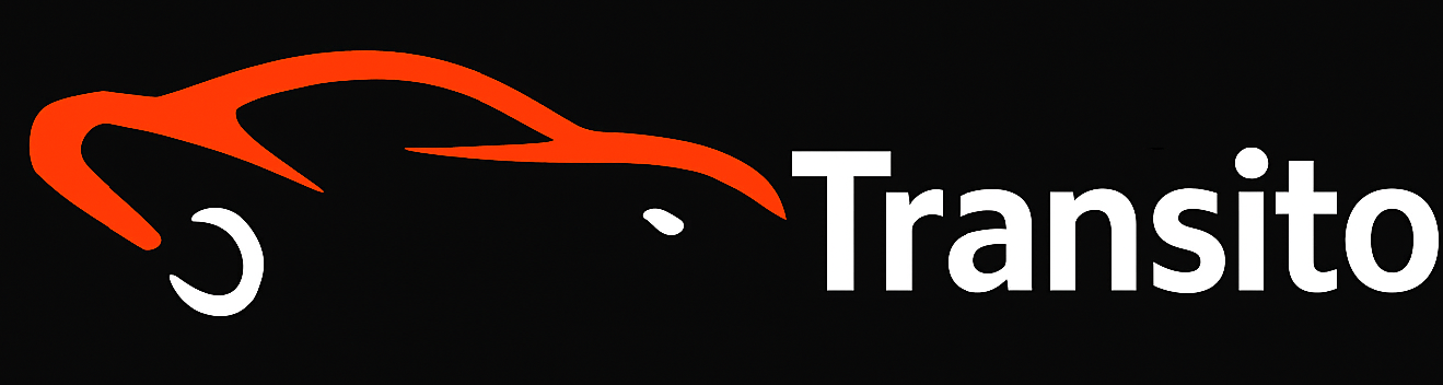 TRANSITO GROUP LTD